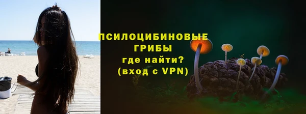мяу мяу мука Корсаков
