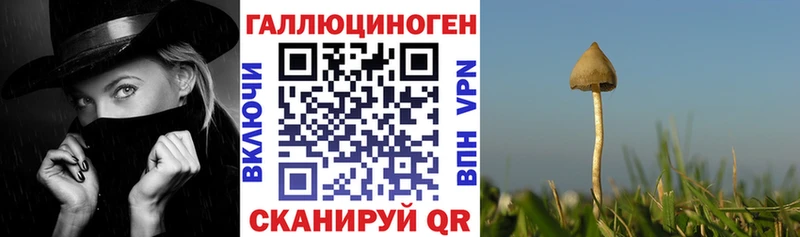 Галлюциногенные грибы GOLDEN TEACHER  блэк спрут ТОР  Чулым 